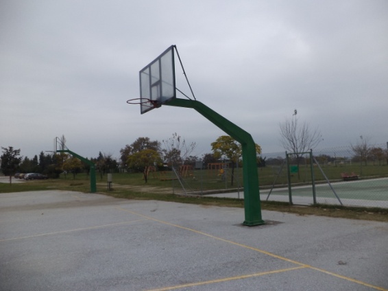 00.80 BASKETBALL POST- PROFESSIONAL